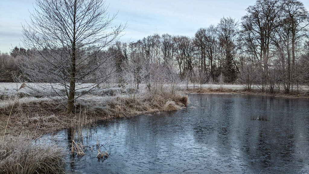 Teich Im Winter Teich im Winter